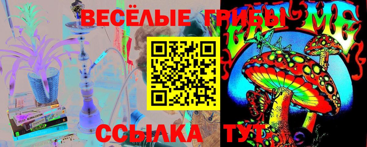 Псилоцибиновые грибы Magic Shrooms Киселёвск