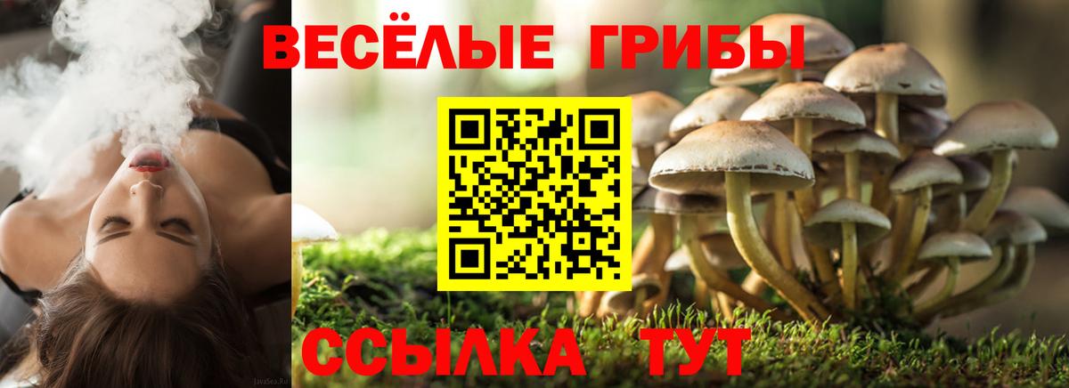 Киселёвск  Галлюциногенные грибы мухоморы  Вход с VPN 