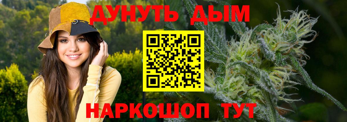 Бошки марихуана гибрид Киселёвск